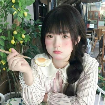 刺猬与城市